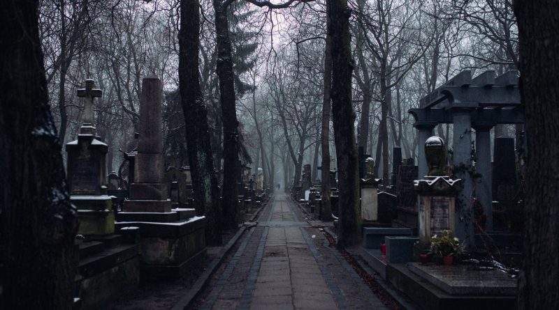 a walkway inside the cemetery